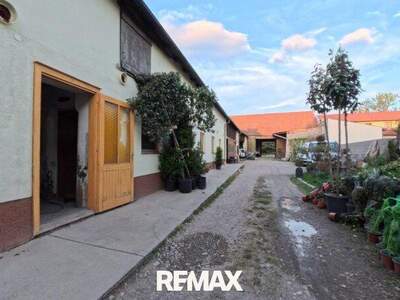 Grundstück kaufen in 2482 Münchendorf (Bild 4)