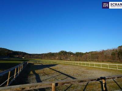 Immobilie kaufen in 8570 Voitsberg (Bild 3)