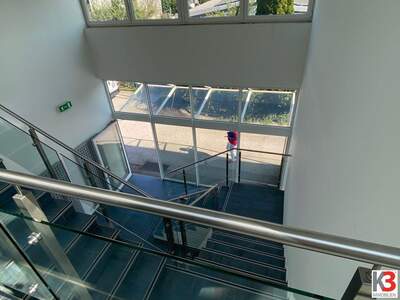 Gewerbeobjekt mieten in 5071 Kleßheim (Bild 5)