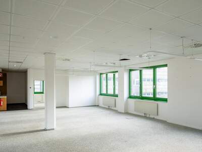 Gewerbeobjekt mieten in 1220 Wien (Bild 3)