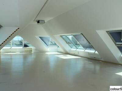 Gewerbeobjekt mieten in 1100 Wien (Bild 4)