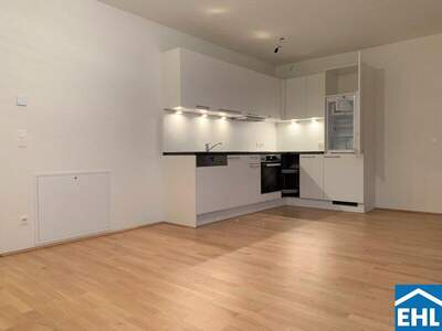 Terrassenwohnung mieten in 1020 Wien (Bild 1)