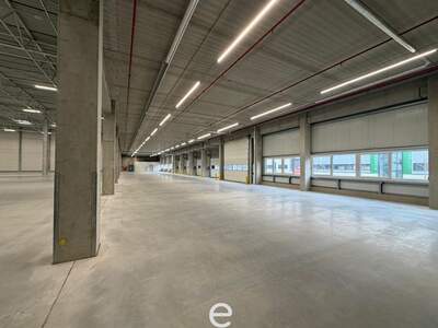 Gewerbeobjekt mieten in 4470 Enns (Bild 2)