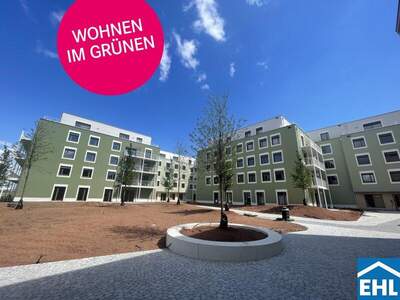 Terrassenwohnung mieten in 3451 Michelhausen (Bild 3)