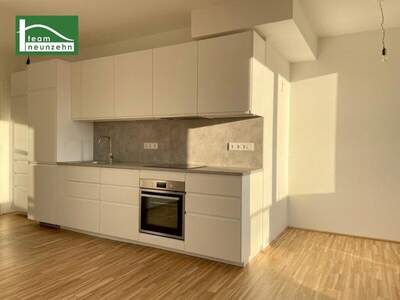 Terrassenwohnung mieten in 1230 Wien (Bild 4)