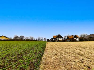 Grundstück kaufen in 8072 Fernitz (Bild 5)