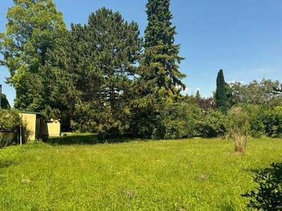 Grundstück kaufen in 2486 Pottendorf