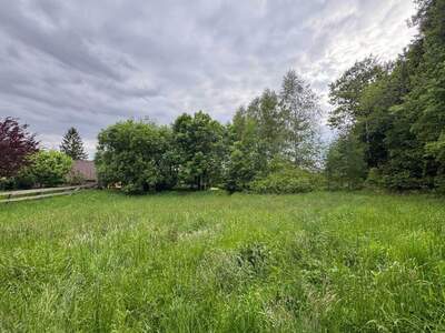 Grundstück kaufen in 4201 Eidenberg (Bild 2)