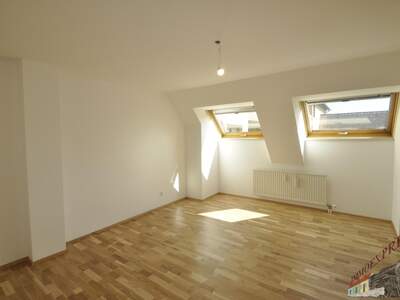 Terrassenwohnung kaufen in 3500 Krems (Bild 4)