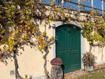 Gewerbeobjekt kaufen in 8302 Nestelbach