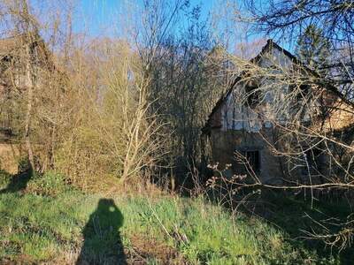 Haus kaufen in 8505 Sankt Nikolai (Bild 2)