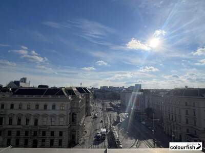 Gewerbeobjekt mieten in 1010 Wien