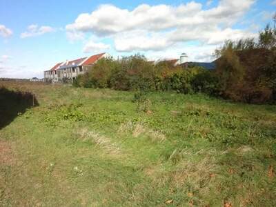 Grundstück kaufen in 7122 Gols