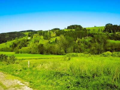 Grundstück kaufen in 9462 Bad St. Leonhard