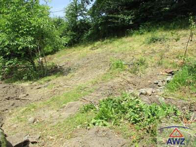 Anlageobjekt kaufen in 4101 4101 Feldkirchen