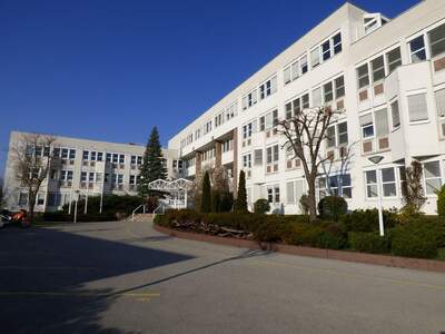 Gewerbeobjekt mieten in 1230 Wien (Bild 1)