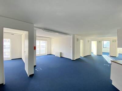 Gewerbeobjekt mieten in 4040 Linz (Bild 2)