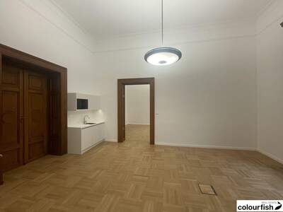 Gewerbeobjekt mieten in 1010 Wien (Bild 5)