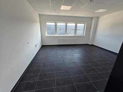 Gewerbeobjekt mieten in 2431 Enzersdorf (Bild 5)