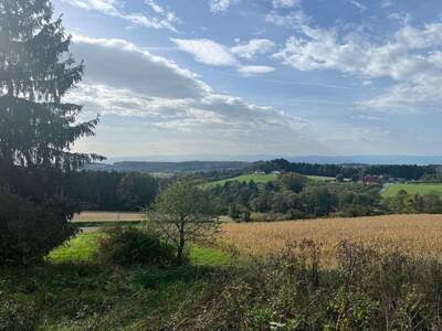 Grundstück kaufen in 8410 Allerheiligen (Bild 1)