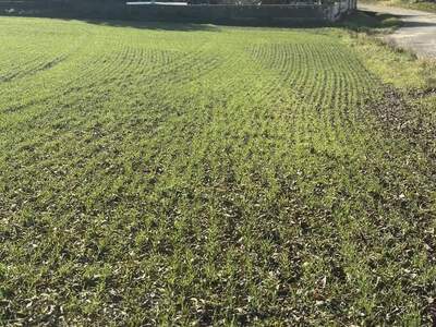 Grundstück kaufen in 3701 Ameisthal