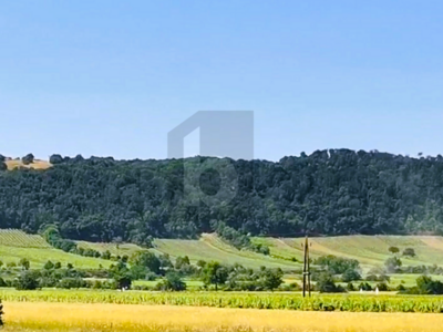 Grundstück kaufen in 7082 Donnerskirchen (Bild 2)