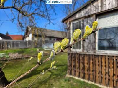 Haus kaufen in 3822 Goschenreith