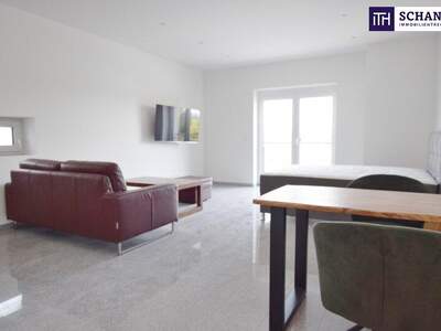 Wohnung mieten in 8151 Reiteregg (Bild 4)