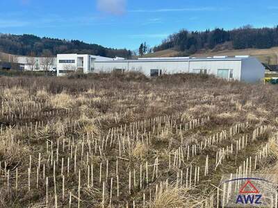 Grundstück kaufen in 4702 Wallern