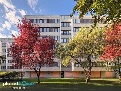 Wohnung kaufen in 1110 Wien