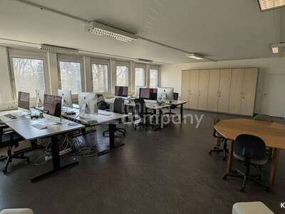 Gewerbeobjekt mieten in 2751 Steinabrückl (Bild 4)