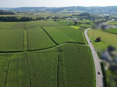 Gewerbeobjekt kaufen in 8421 Breitenfeld (Bild 3)