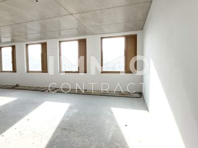 Gewerbeobjekt mieten in 1230 Wien (Bild 3)