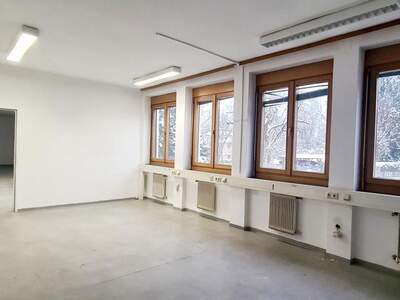 Gewerbeobjekt mieten in 4400 Steyr (Bild 5)