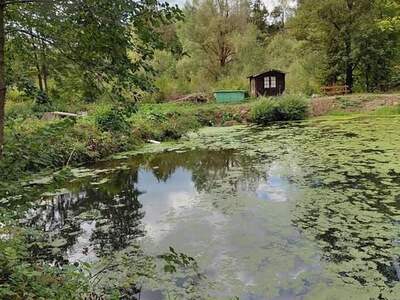 Grundstück kaufen in 3613 Albrechtsberg