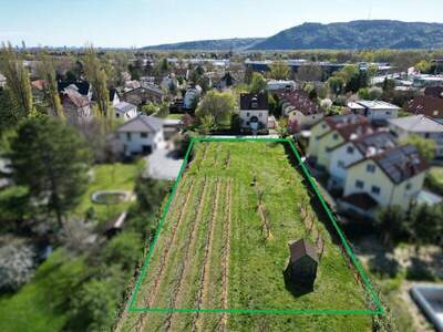 Grundstück kaufen in 2103 Langenzersdorf (Bild 3)