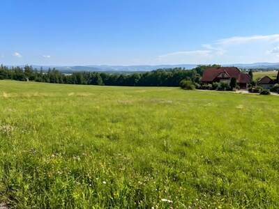 Grundstück kaufen in 4073 Wilhering