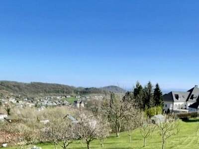 Grundstück kaufen in 4221 Steyregg (Bild 3)