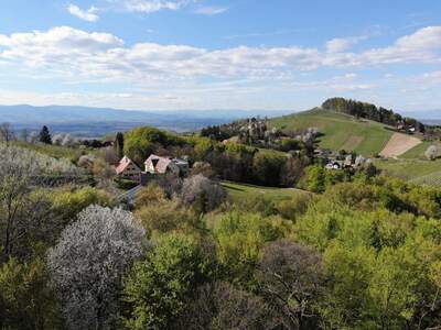 Haus kaufen in 8441 Sankt Andrä (Bild 3)