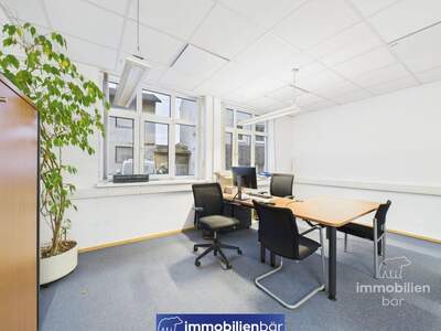 Gewerbeobjekt mieten in 4710 Grieskirchen (Bild 2)