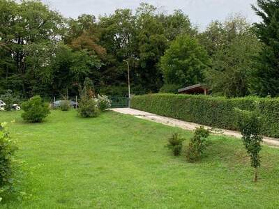 Anlageobjekt kaufen in 2500 Siegenfeld