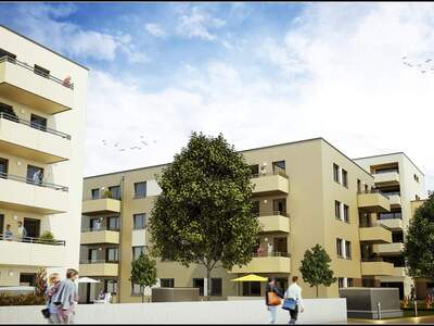 Terrassenwohnung mieten in 2700 Wr. Neustadt (Bild 1)