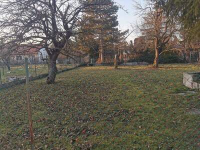 Grundstück kaufen in 2521 Trumau