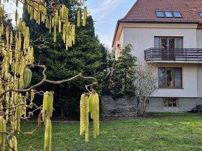 Haus kaufen in 3400 Klosterneuburg