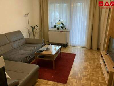 Terrassenwohnung mieten in 4451 Garsten (Bild 3)