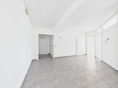 Büro / Praxis mieten in 4221 Steyregg (Bild 2)