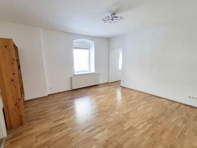 Anlageobjekt kaufen in 8130 Frohnleiten (Bild 2)