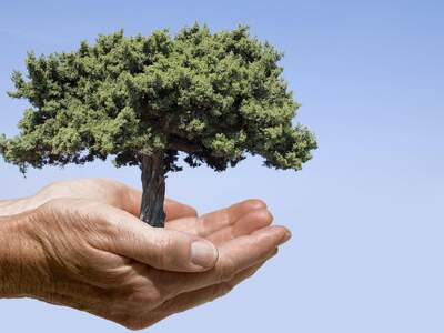 Grundstück kaufen in 6020 Hötting (Bild 1)