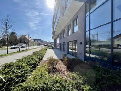 Gewerbeobjekt mieten in 3100 St. Pölten (Bild 1)