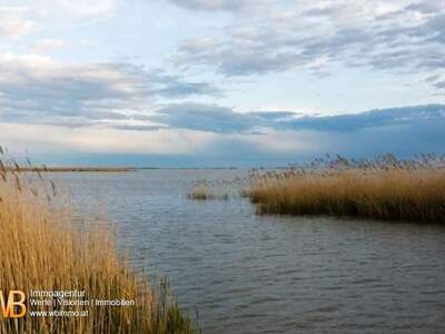 Gewerbeobjekt kaufen in 7072 Mörbisch